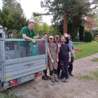Titel: Hochbeet